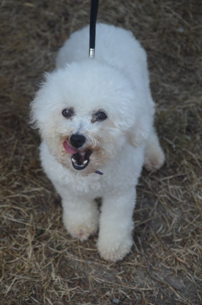 Tryo domaine du feu cochard
